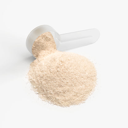 Hydration Powder (Lemonade) by Vitablend